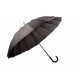Зонти Парасолі
