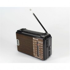 Портативный радио приемник GOLON RX-608ACW