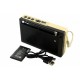 Портативный радиоприёмник MP3 USB Golon RX 6622 Золото