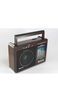 Радиоприемник-колонка MP3 GOLON RX 9966UAR Коричневый